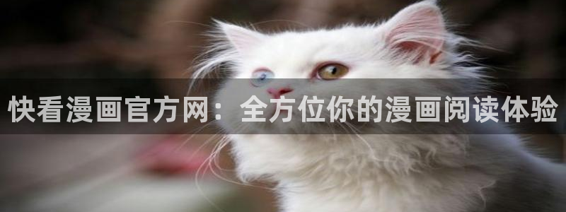 歪歪漫画韩国漫画免费观看