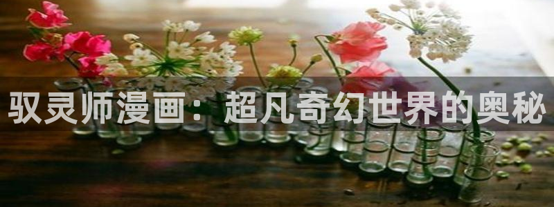 初见心动韩国漫画完整版