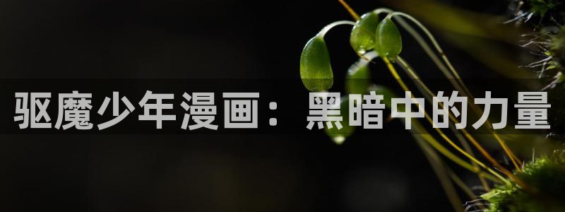 韩国漫画免费网站在线观看